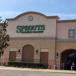 sprouts1